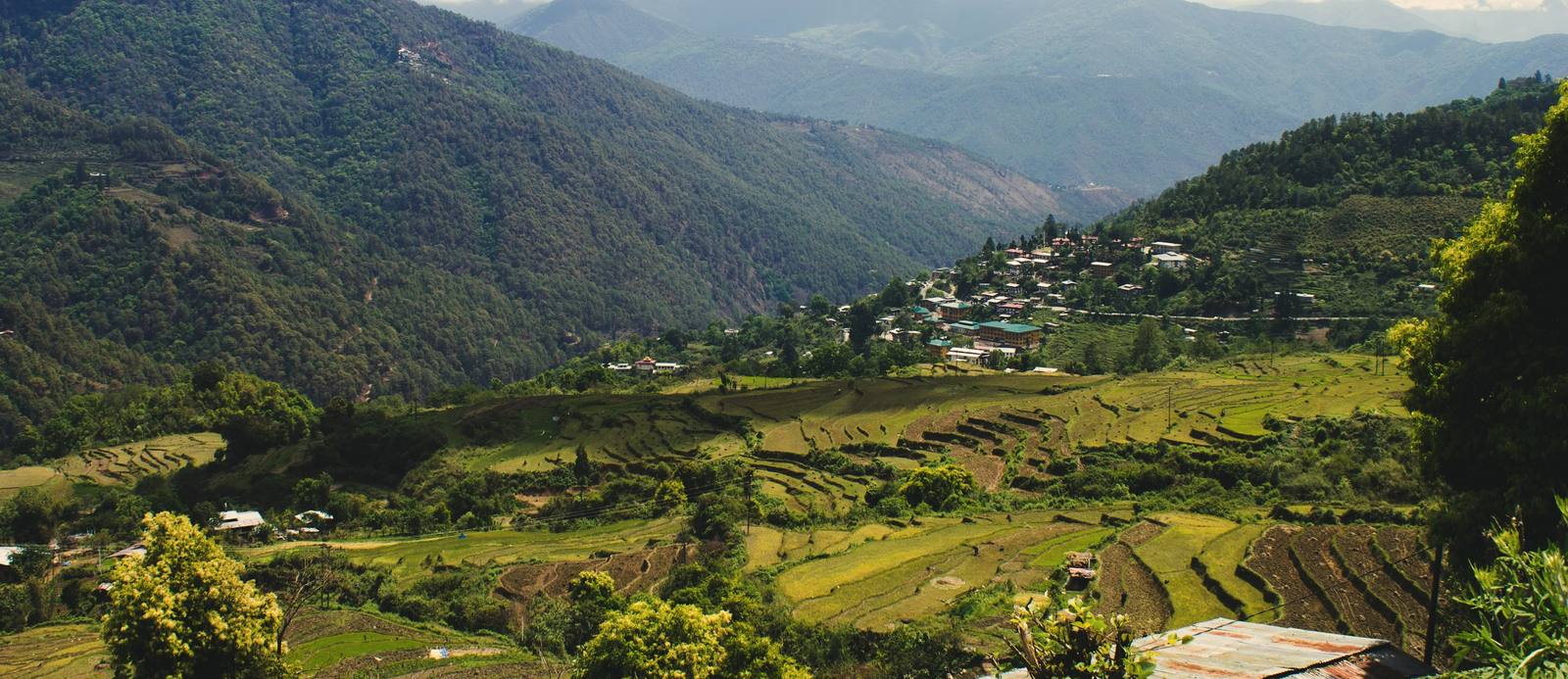 Terraced Himalayan valley, Bhutan